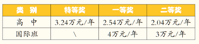 2023年成都市成都棠湖外國(guó)語學(xué)校有沒有獎(jiǎng)學(xué)金，政策是什么