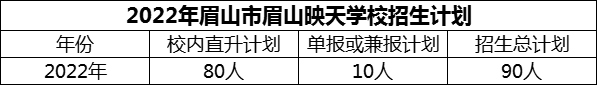2024年眉山市眉山映天學(xué)校招生計劃是多少？