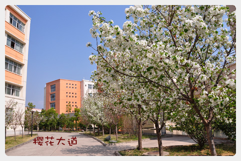 西昌一中2018年收費標(biāo)準(zhǔn)