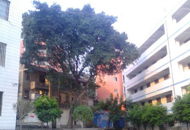 資中縣太平中學(xué)地理位置在哪里？