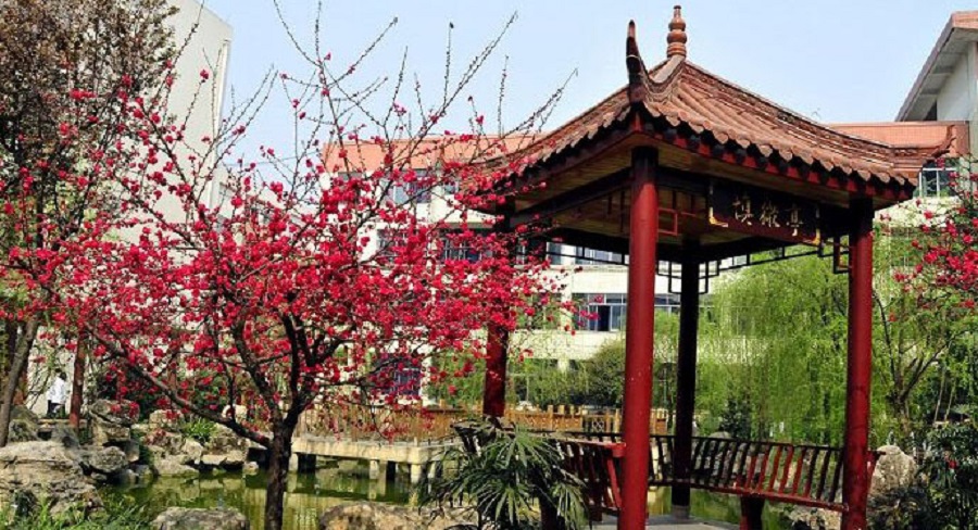 蜀城中學(xué)2020年中考錄取分?jǐn)?shù)線是多少？