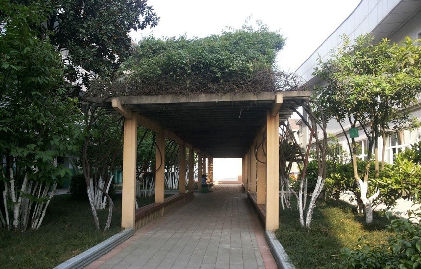 通錦中學(xué)環(huán)境怎么樣？