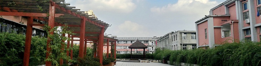 成都市通錦中學(xué)2019年中考分?jǐn)?shù)線是多少？