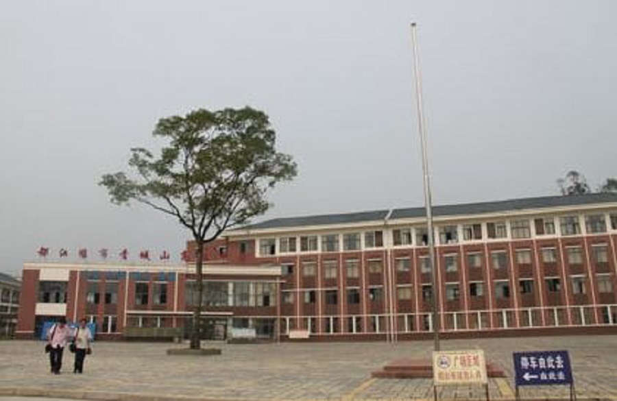 青城山高級中學(xué)是公辦還是民辦？
