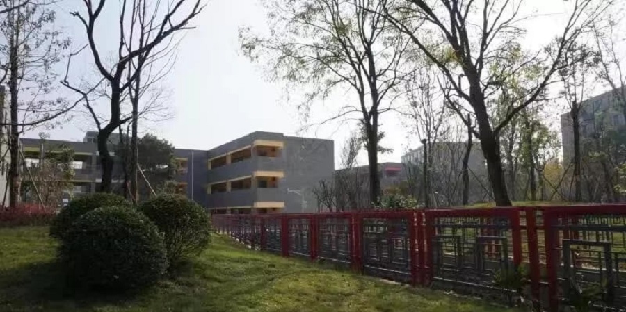 成都綿實(shí)外國語學(xué)校2020年升學(xué)率怎么樣？