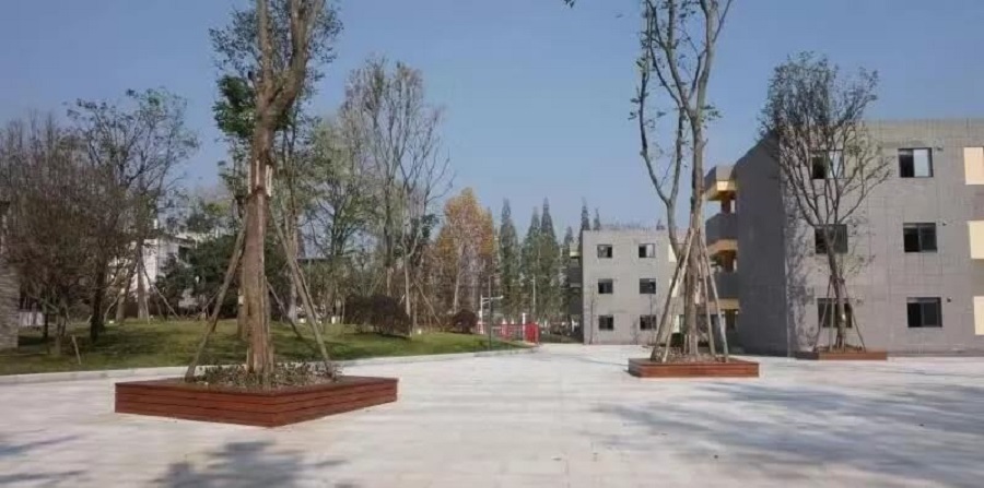 成都綿實外國語學校2019年招生公告公布了嗎？