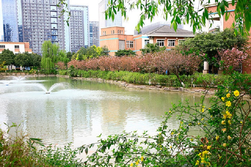 成都美視國際學(xué)校網(wǎng)址是什么？