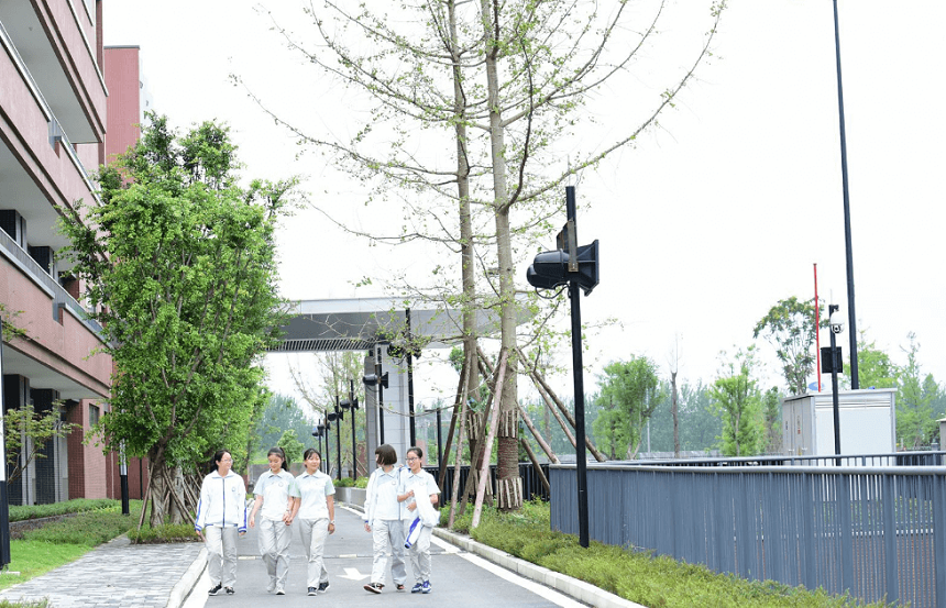 電子科技大學(xué)實(shí)驗(yàn)中學(xué)升學(xué)率高不高？