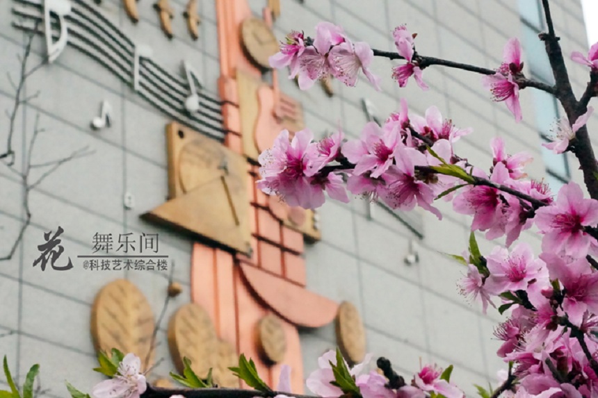 石室天府中學(xué)環(huán)境好不好、怎么樣？