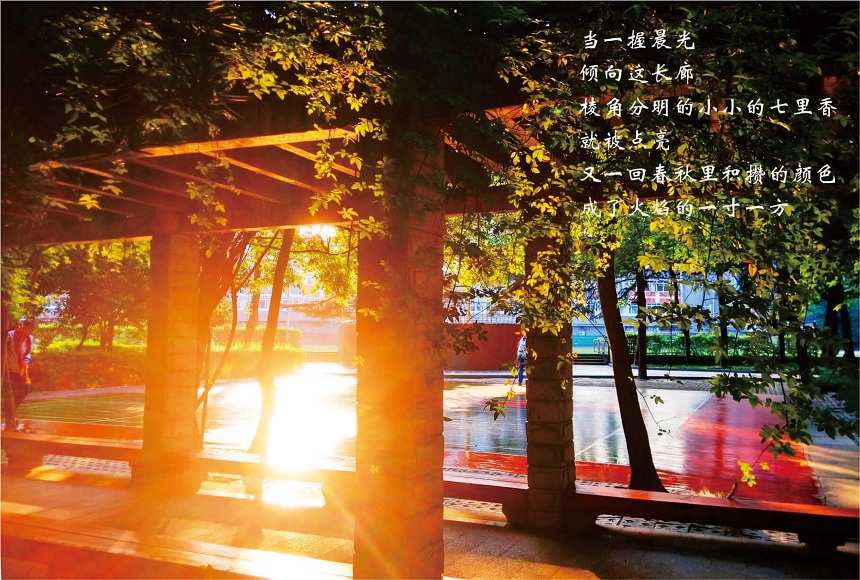 成都七中高新校區(qū)2019年中考分?jǐn)?shù)線是多少？
