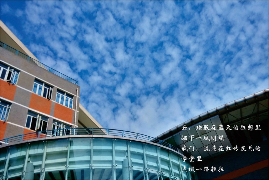 成都七中高新校區(qū)教學質(zhì)量好不好？