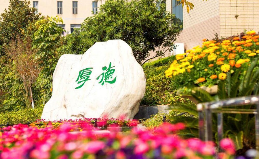 綿陽外國語學(xué)校學(xué)費大概是多少？