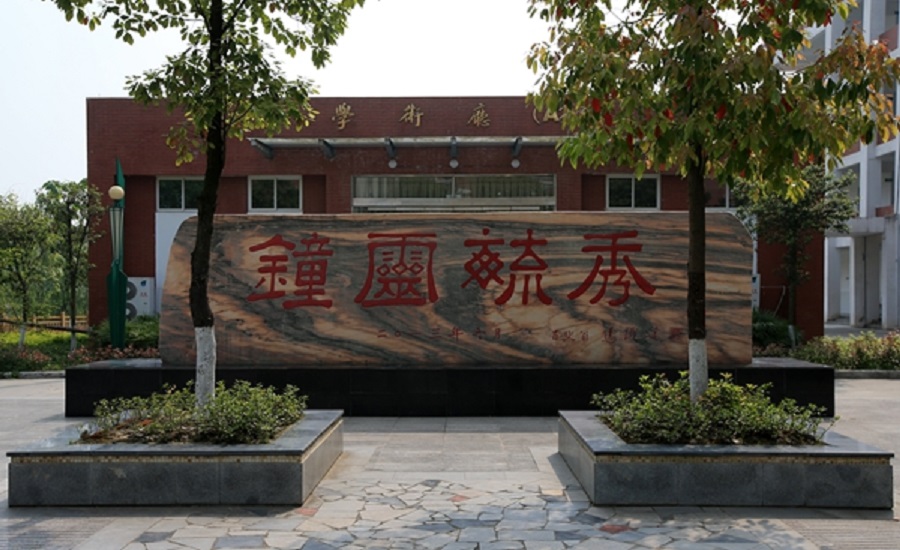 綿陽中學實驗學校官方網址是多少？