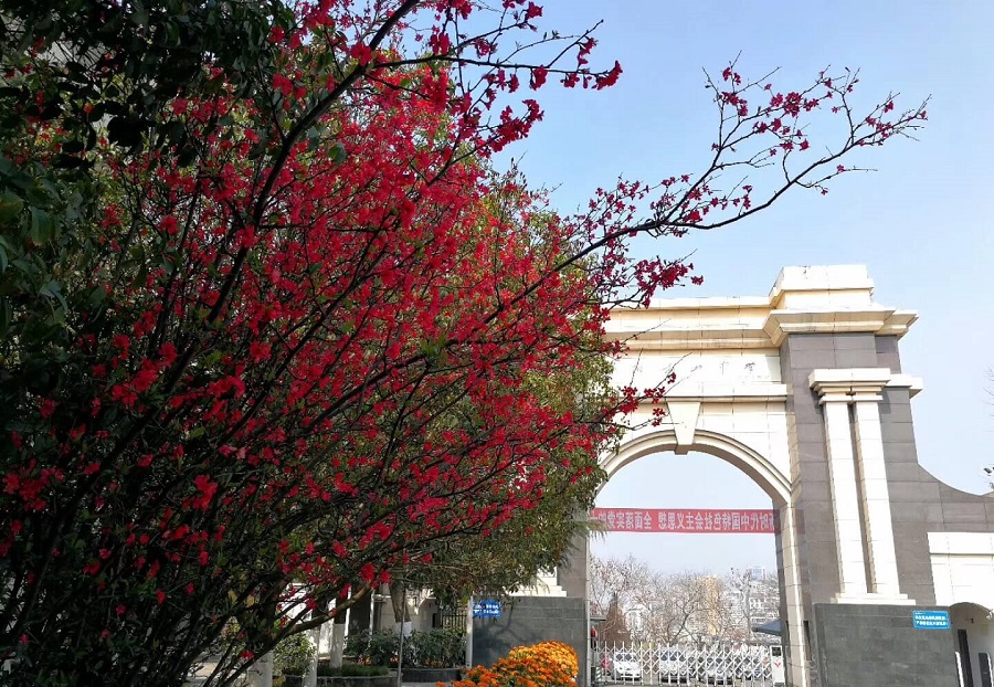 綿陽南山中學(xué)學(xué)費(fèi)貴嗎？