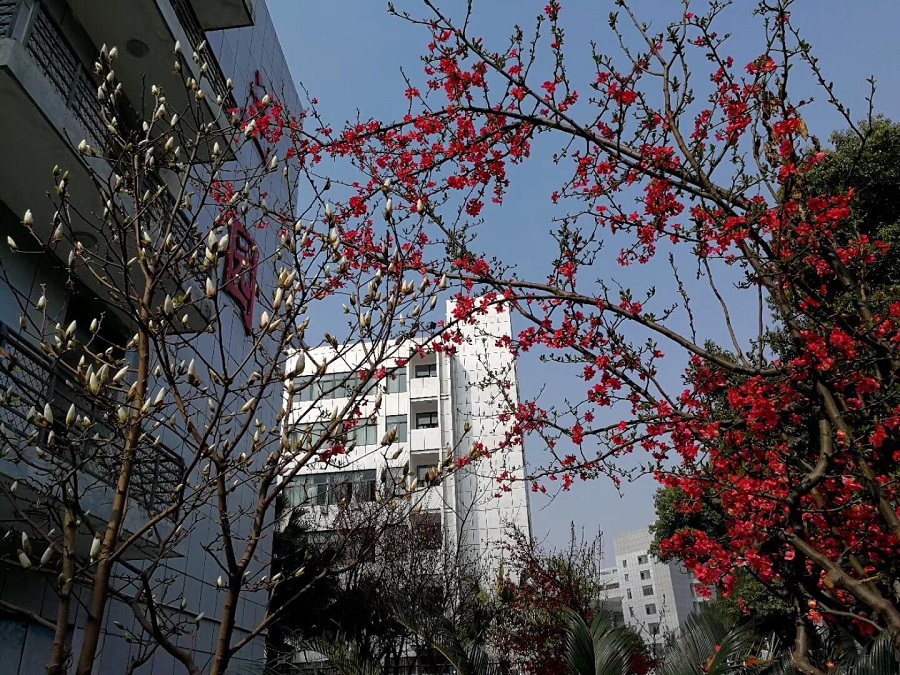 綿陽南山中學(xué)教學(xué)質(zhì)量怎么樣？