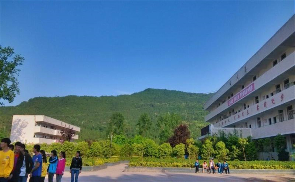 金山中學2020年學校招生計劃在哪兒看？