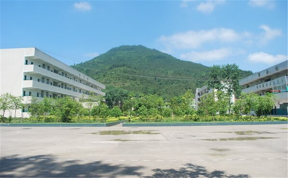 金山中學學校環(huán)境如何？
