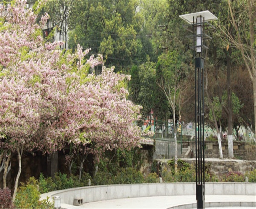 廣元實驗中學學校招辦電話是多少？