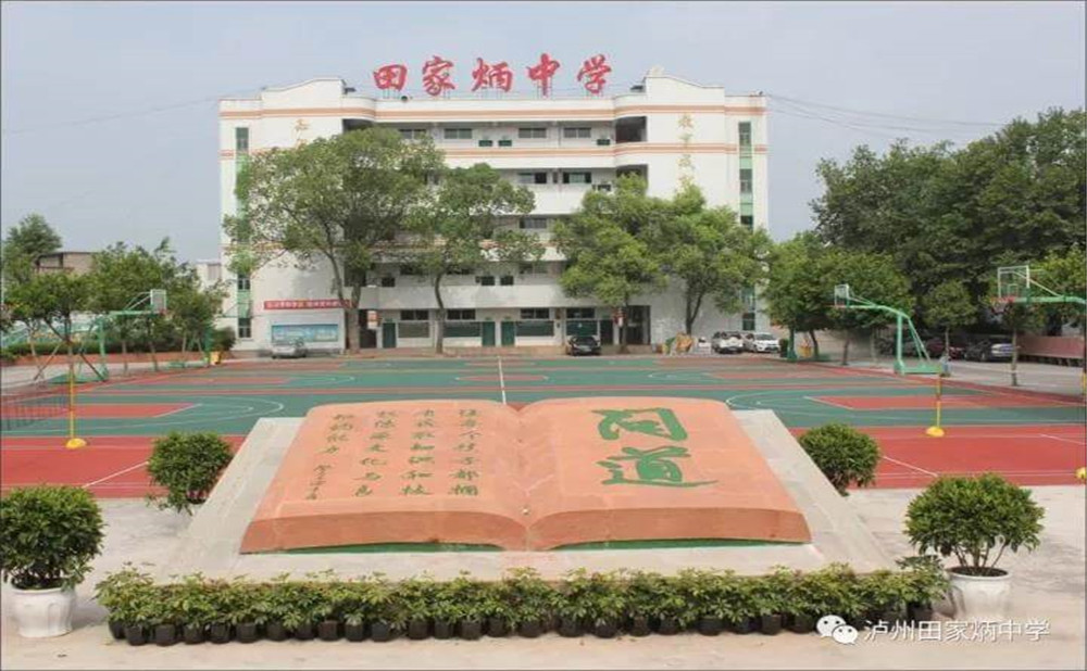 瀘洲市田家炳中學(xué)是公辦學(xué)校嗎？