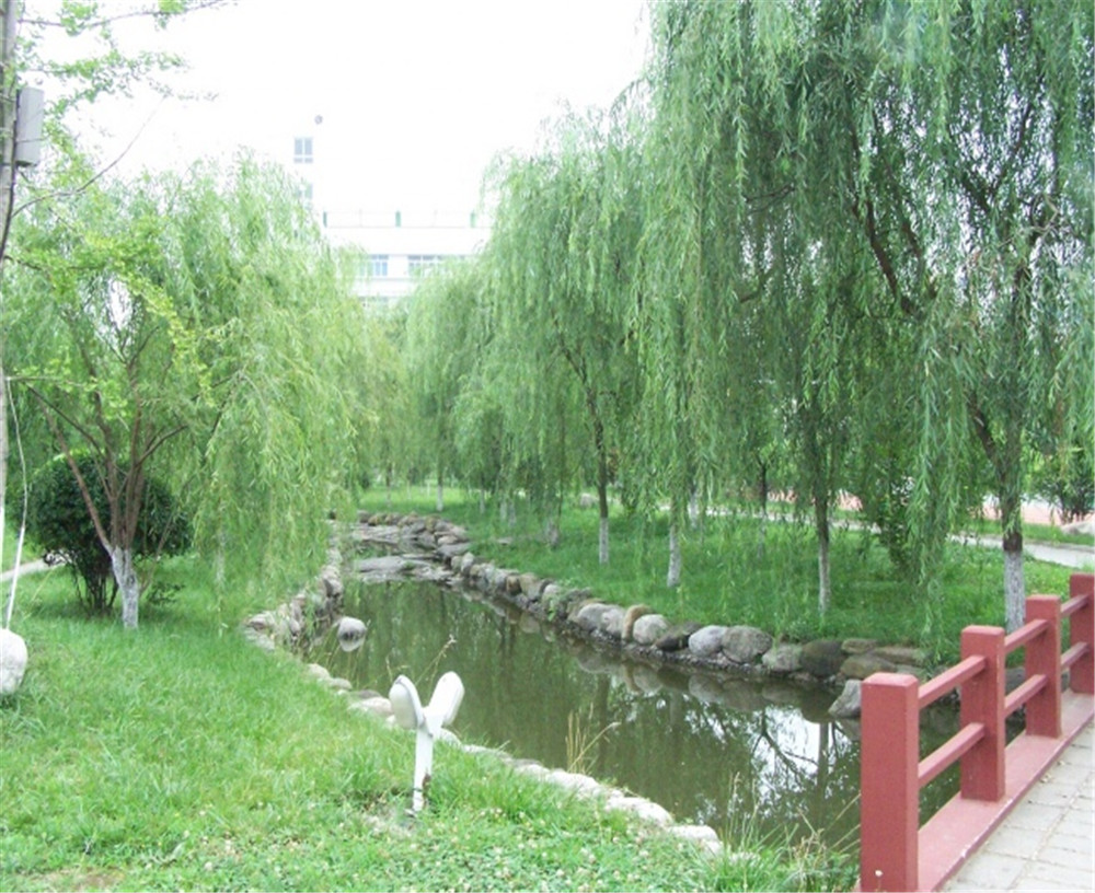 廣元外國語2020年學(xué)校招生分?jǐn)?shù)公布了嗎？