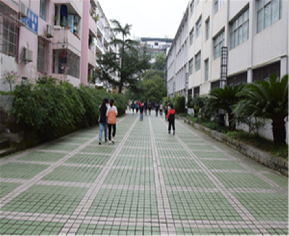 歧坪中學2020年的錄取分數是多少？