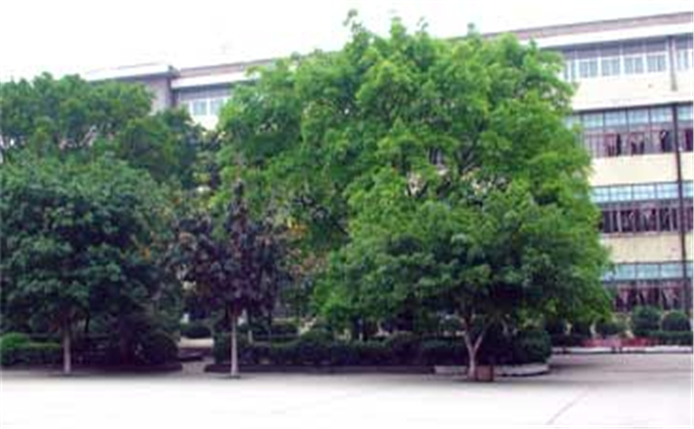 威遠(yuǎn)縣自強(qiáng)中學(xué)學(xué)校環(huán)境怎么樣？