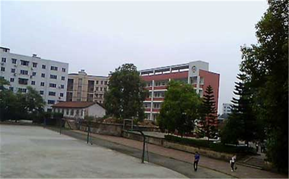 內(nèi)江十中2020年學校學費多少錢一年？