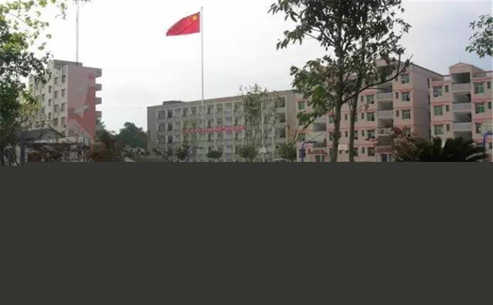 內(nèi)江市第十一中學(xué)學(xué)校詳細(xì)地址在什么地方？