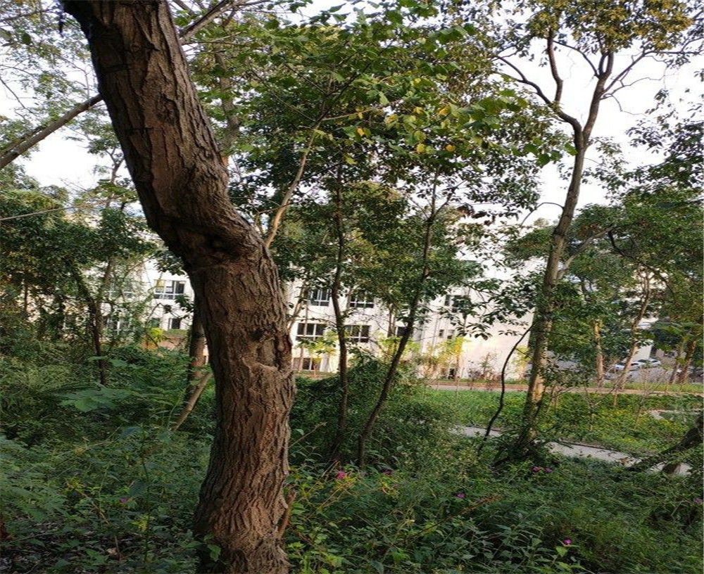 蒲家中學(xué)的詳細(xì)地址在什么地方？