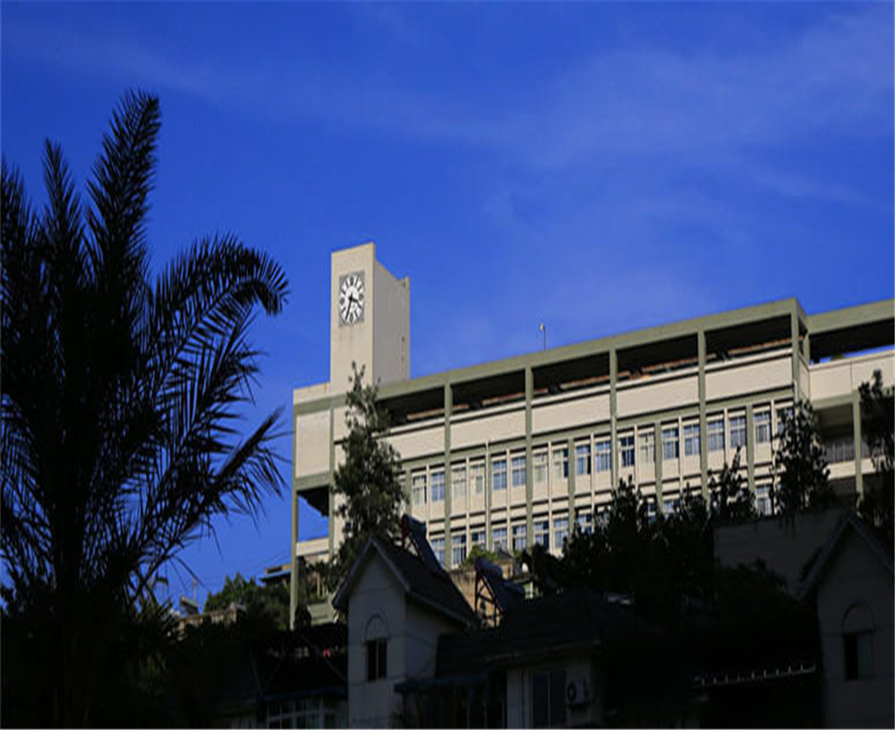 攀枝花市第十五中學(xué)學(xué)校詳細地址在什么地方？