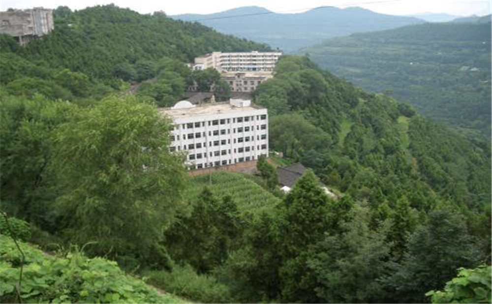 閬中市二龍中學學校詳細地址在什么地方？