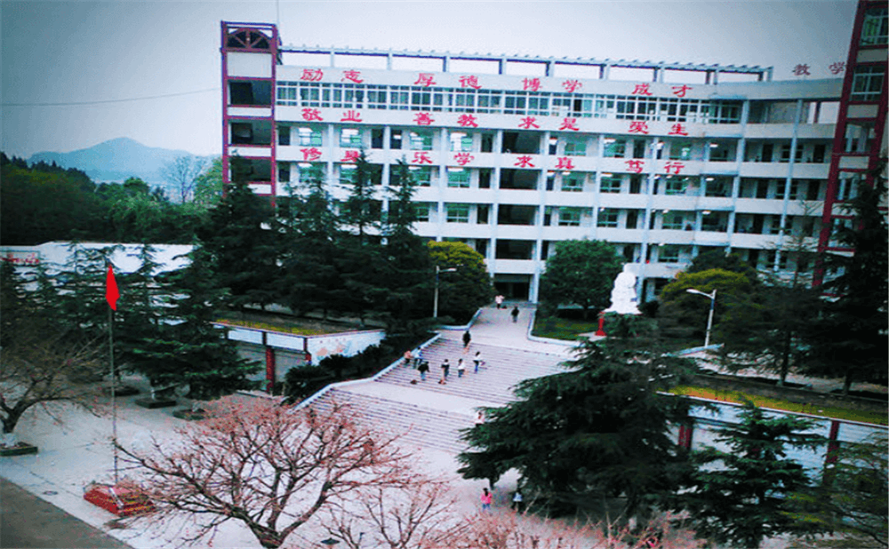 南部市伏虎中學學校詳細地址在什么地方？