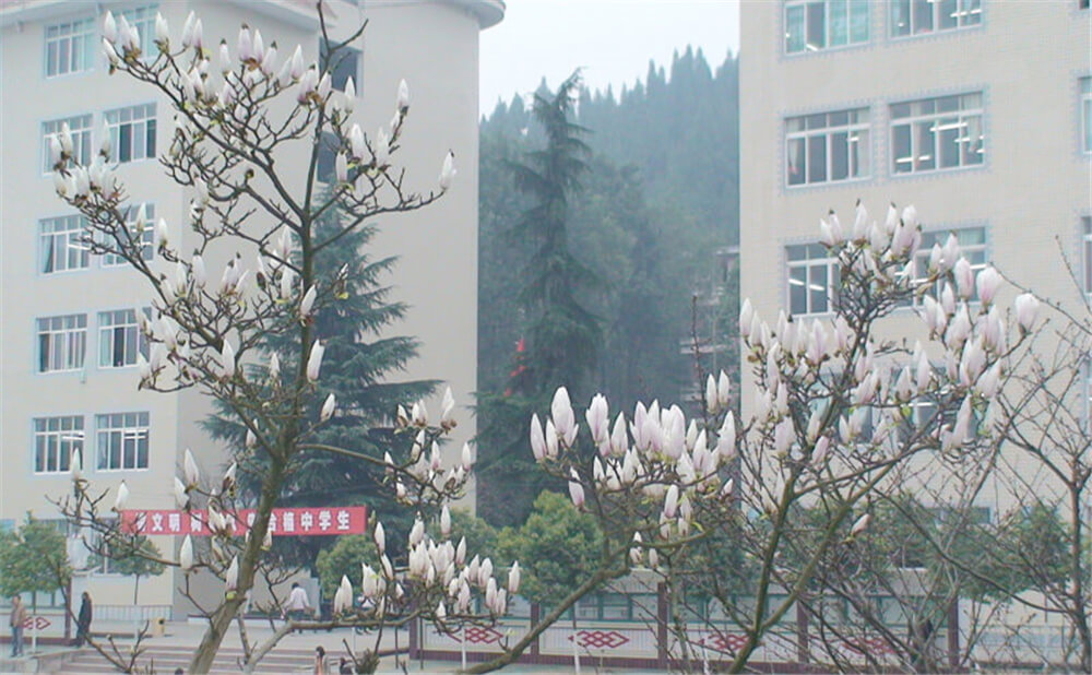 建興中學(xué)2020年中考錄取分?jǐn)?shù)線多少分？