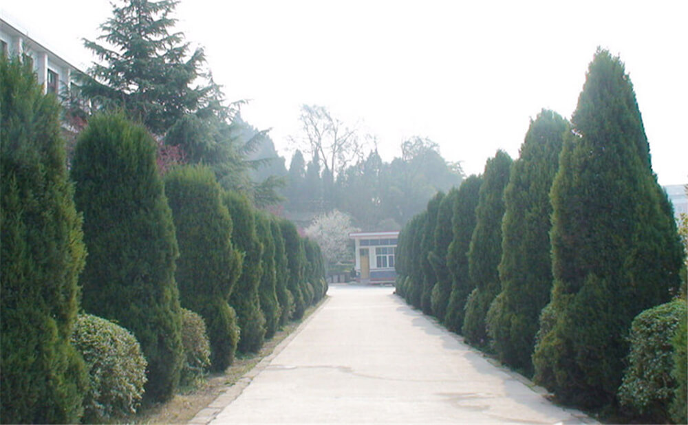 建興中學學校環(huán)境怎么樣？