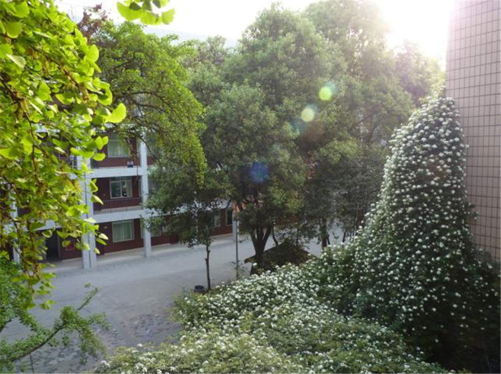 石室聯(lián)合中學(xué)蜀華分校的升學(xué)率怎么樣？