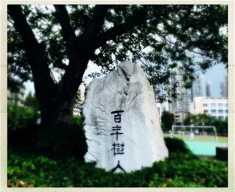四川大學(xué)附屬中學(xué)2020年的錄取分?jǐn)?shù)線是多少？