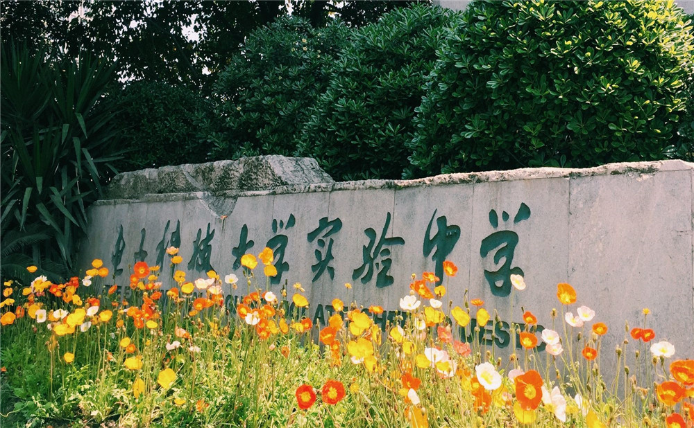 電子科技大學(xué)實(shí)驗(yàn)中學(xué)每年的學(xué)費(fèi)是多少？