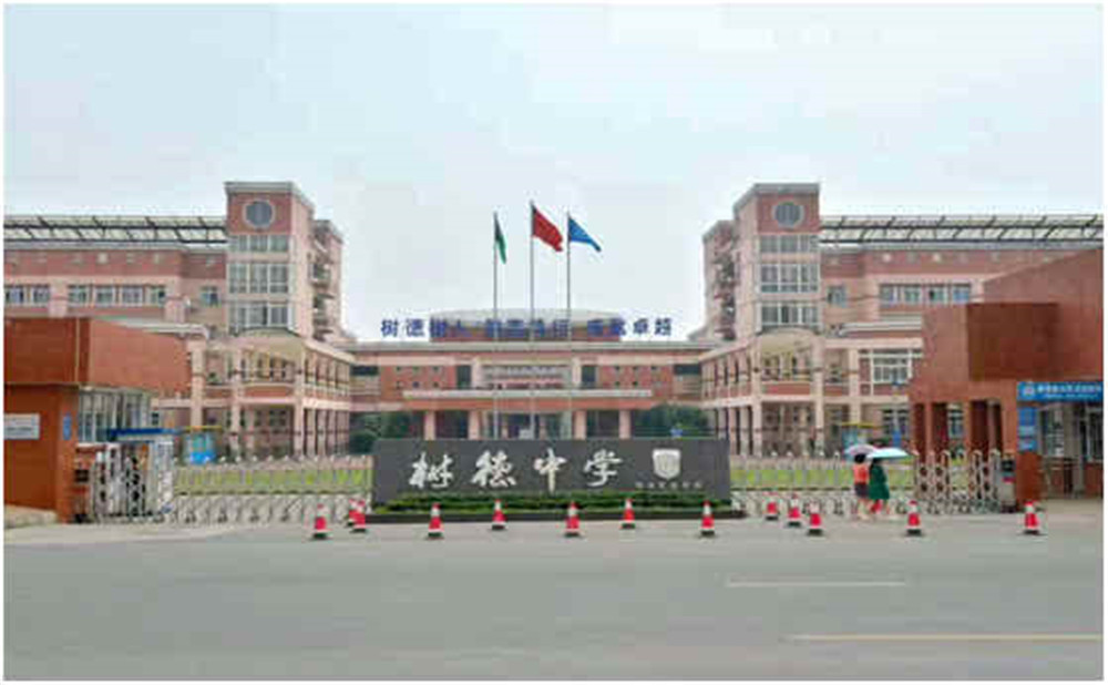 樹德博瑞實驗學校2020年的招生計劃是多少？