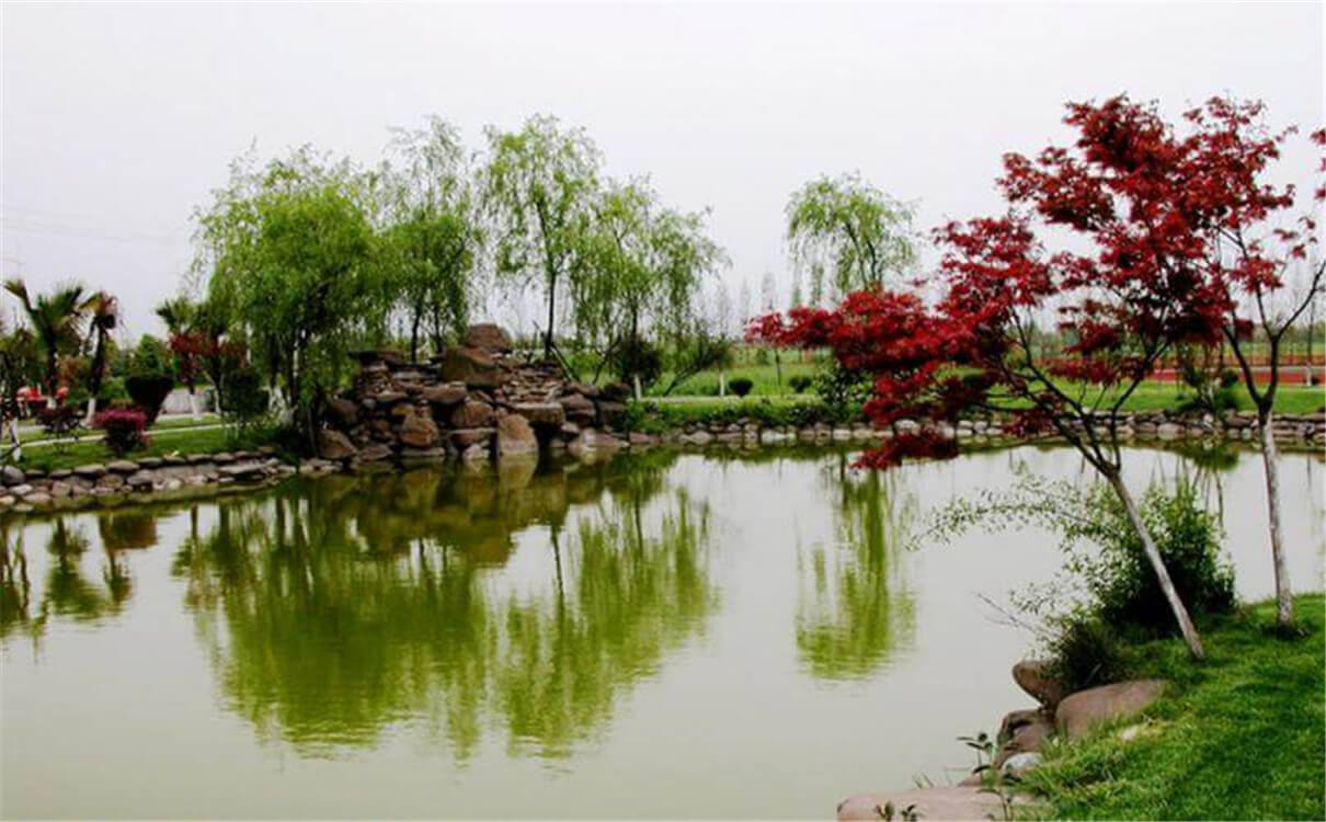 成都七中實(shí)驗(yàn)學(xué)校高中部的錄取分?jǐn)?shù)是多少？