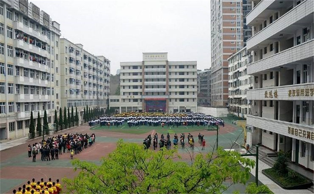 陽(yáng)安中學(xué)每年的學(xué)費(fèi)是多少？