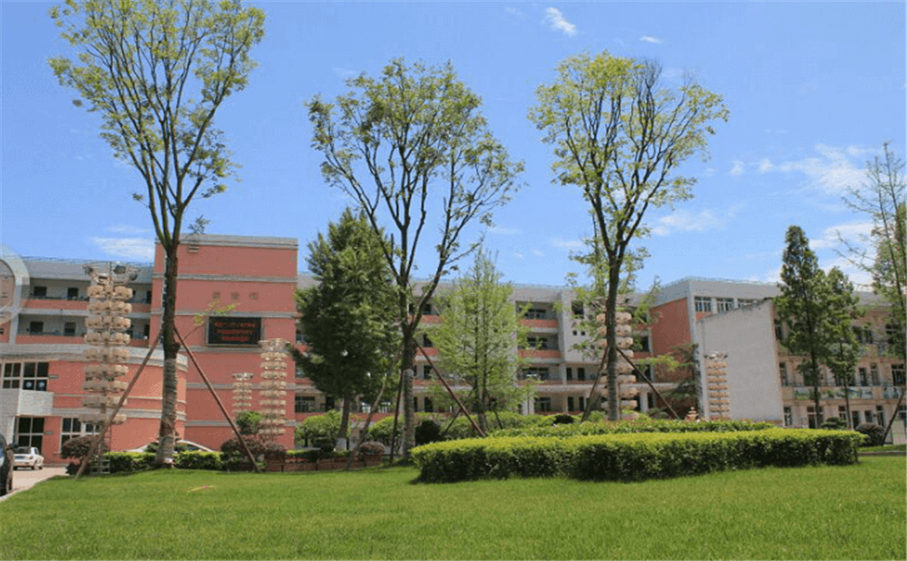 成都市籍田中學的老師怎么樣？
