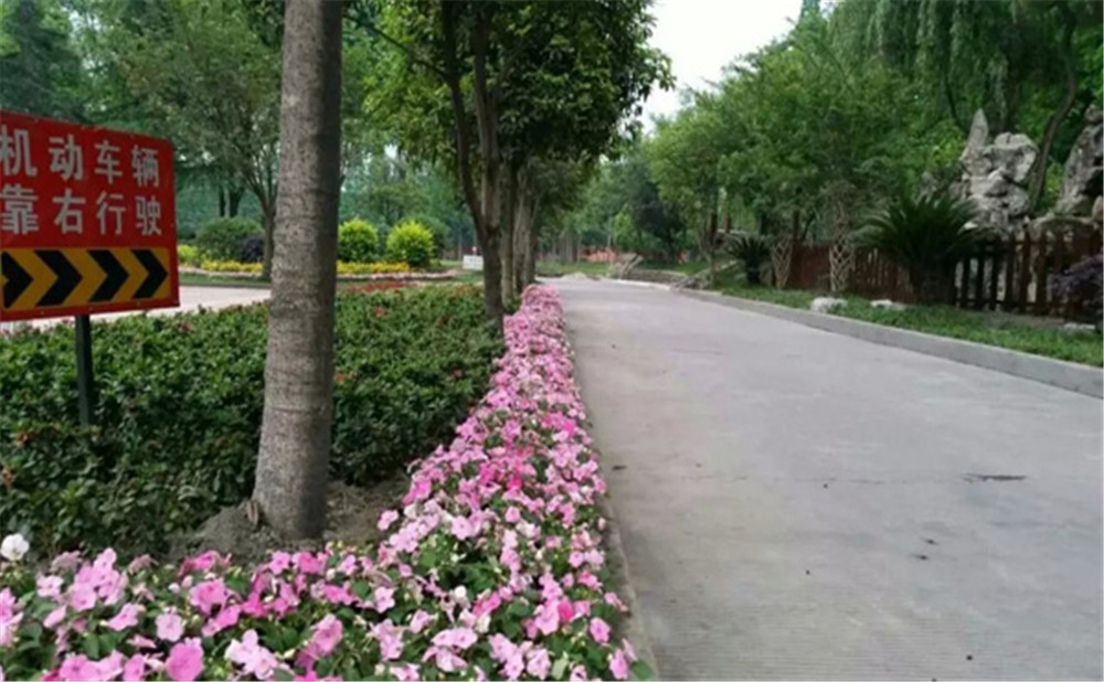 玉壘學(xué)校的老師怎么樣？
