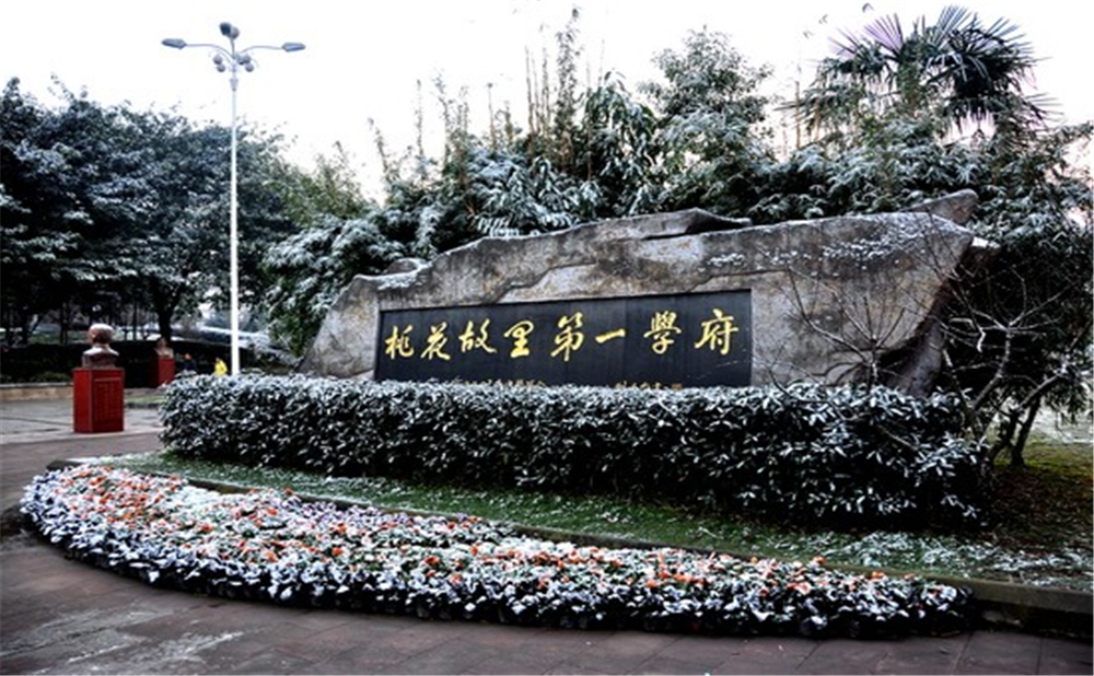 成都市龍泉中學(xué)的高考升學(xué)率是多少？