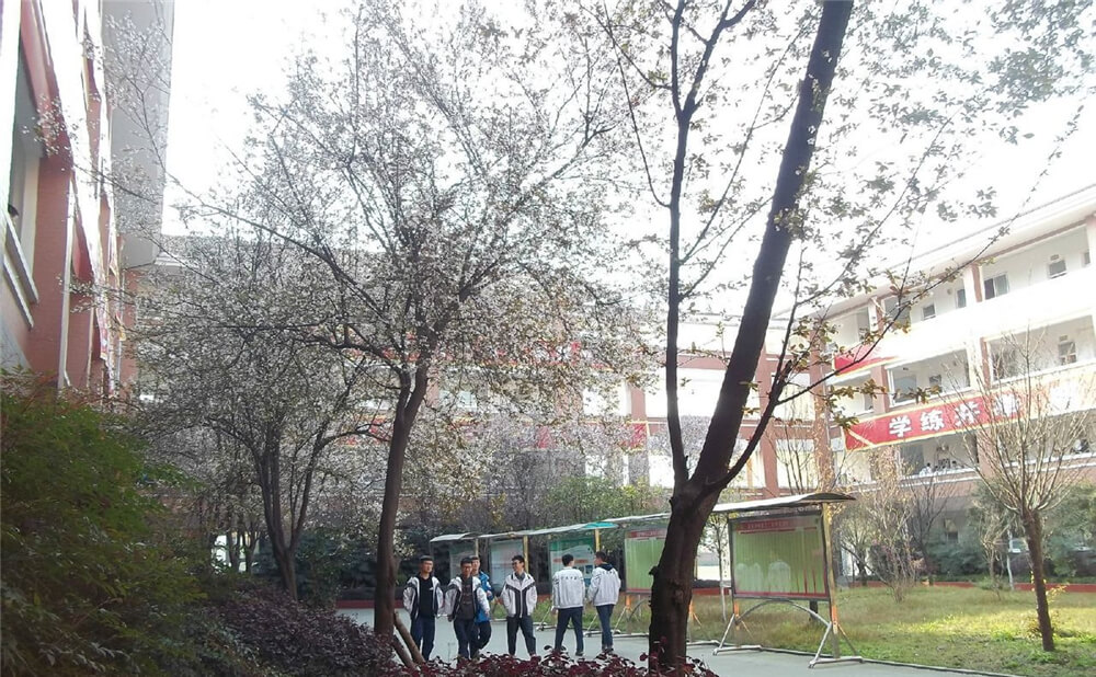 崇慶中學(xué)的去年錄取分?jǐn)?shù)線是多少分？