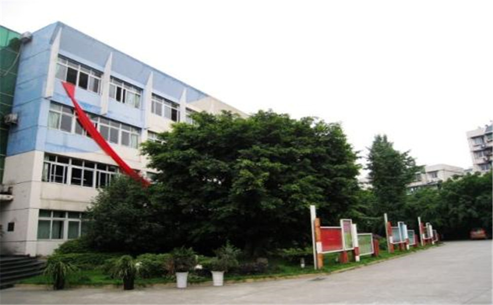 四川師范大學(xué)實驗外國語學(xué)校2020年招生標(biāo)準(zhǔn)是什么？