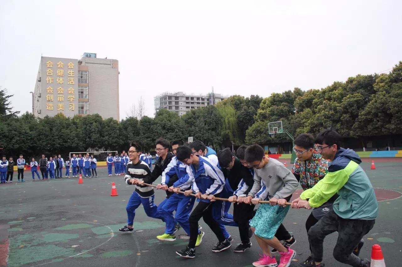 成都石室佳興外國語學校2020年的招生標準是什么