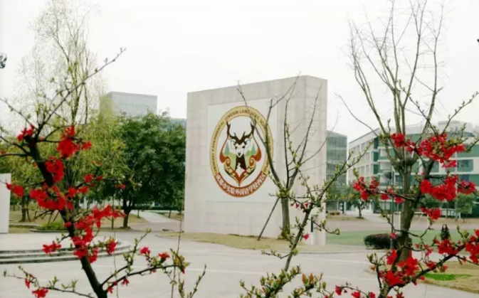 成都實驗外國語學(xué)校（西區(qū)）2020年的招生標(biāo)準(zhǔn)是什么？