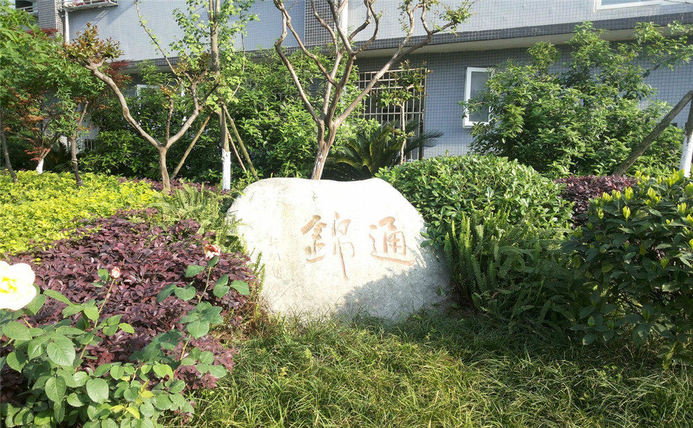 通錦中學(xué)2020年招生標(biāo)準(zhǔn)是什么？