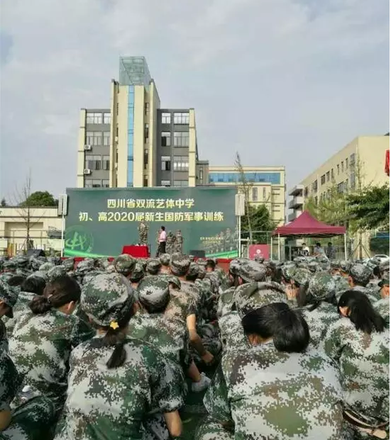 雙流藝體中學的升學率是多少？