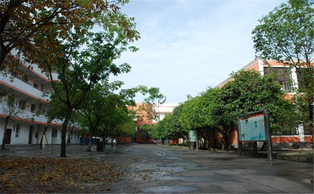 大邑中學(xué)近三年的錄取分數(shù)是多少？